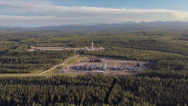 Another AI data centre proposed for rural Alberta