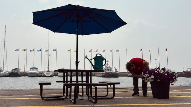 Smoky air leads to health warnings in Kingston-Belleville area