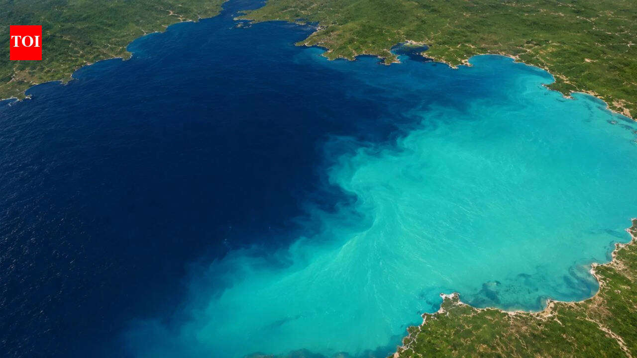 Black Sea: Nasa reveals why the Black Sea changes from dark blue to Turquoise each year |
