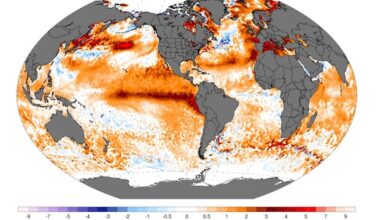 El Niño is here, and it’s already looking like it could be 'mind-blowing'