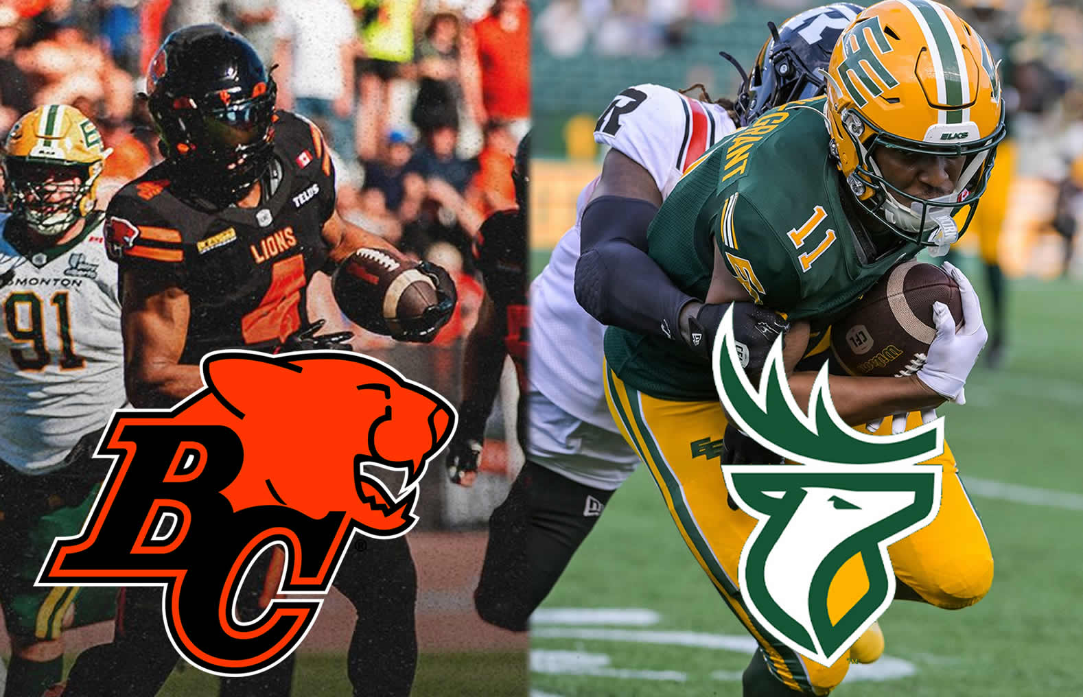 CFL News Hub