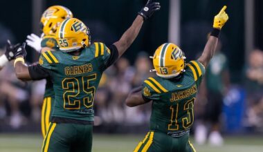 Elks surge to 5-1 record with 19-17 win over Lions, who lose Rourke to injury
