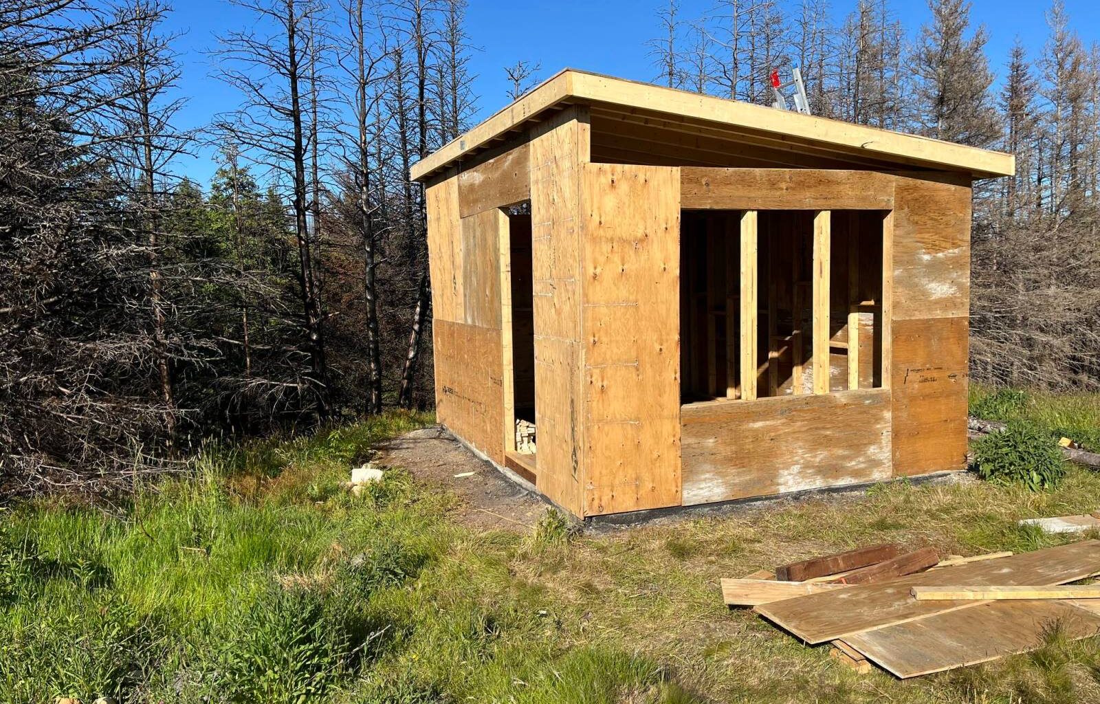 Wood’s wonders a highlight of summer’s DIY delights – Winnipeg Free Press