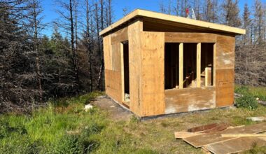 Wood’s wonders a highlight of summer’s DIY delights – Winnipeg Free Press