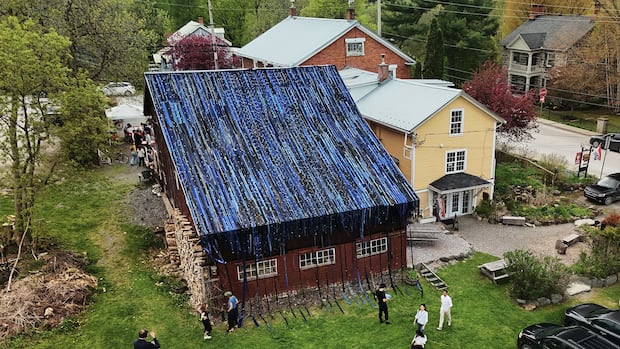 Night sky artwork in Quebec’s Eastern Townships highlights region's forgotten Black history