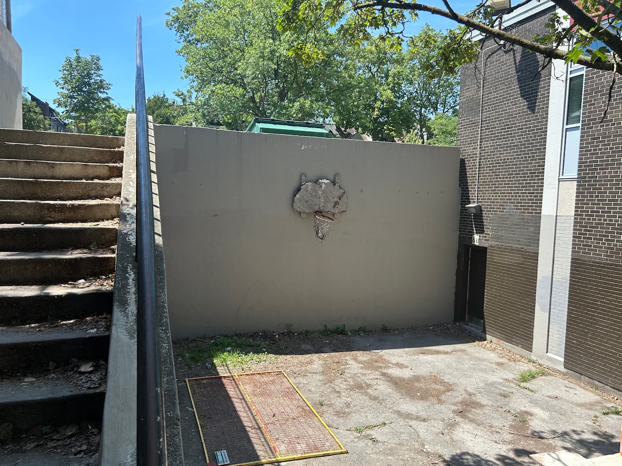 A rotting backboard and basketball net are mounted on an exterior wall at the centre. The property appears to be irregularly maintained.
