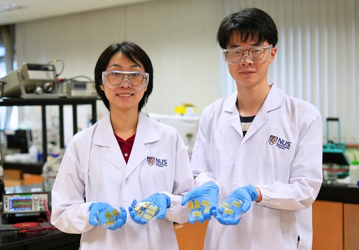 More than skin deep: NUS researchers develop electronic skin that senses, heals and thrives even under water
