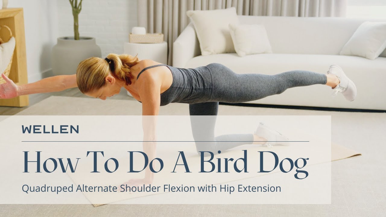 How To Properly Do A Bird Dog - Strength Exercises - Wellen - YouTube