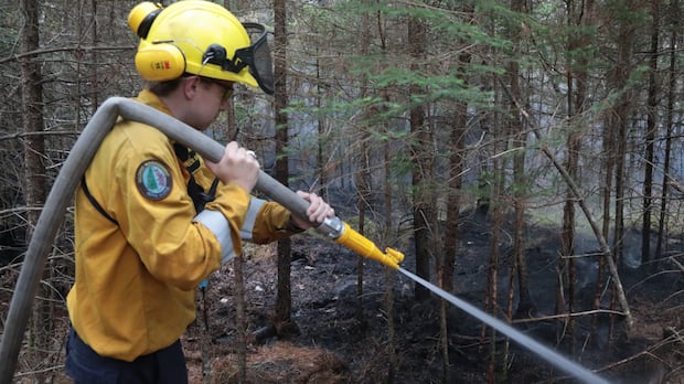 Eastern Shore wildfire remains 'out of control' despite dropping in size