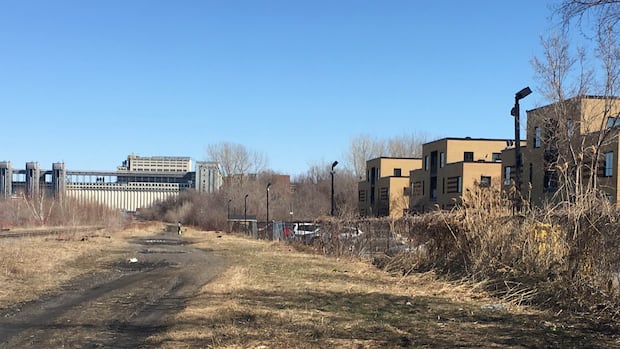 Montreal residents raise concerns after CN sprays herbicide on tracks near homes