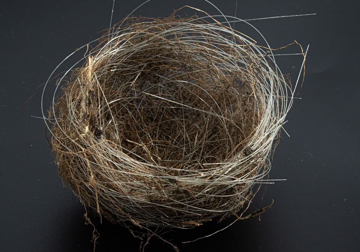 a bird nest with fibre optic cables