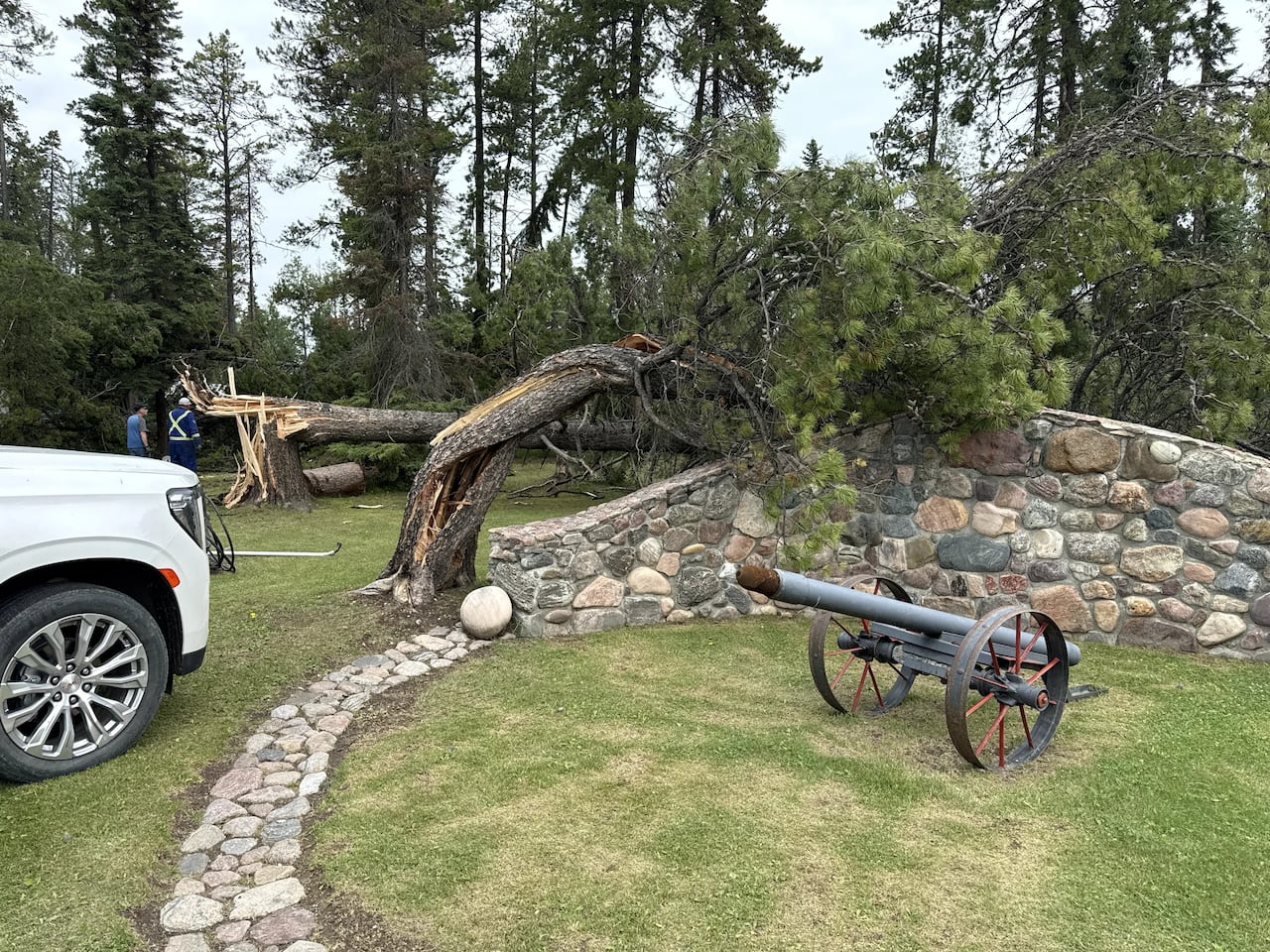 A backyard shown with two broken trees.