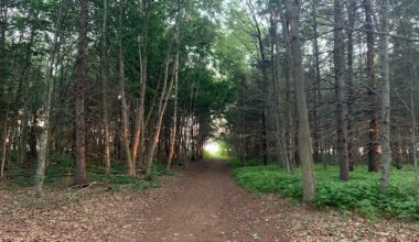 Charlottetown 'BioBlitz' encourages Islanders to take part in nature research