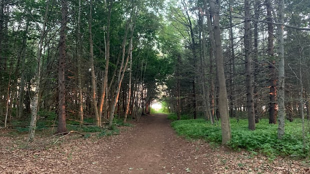 Charlottetown 'BioBlitz' encourages Islanders to take part in nature research
