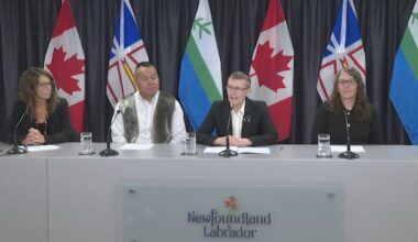 N.L. adds schedevac flights while minister commits to equitable health-care access
