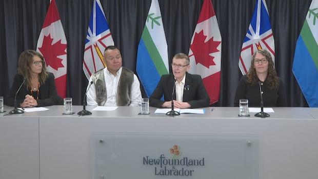 N.L. adds schedevac flights while minister commits to equitable health-care access