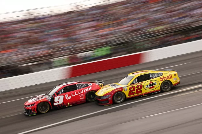 Chase Elliott, Hendrick Motorsports, Joey Logano, Team Penske