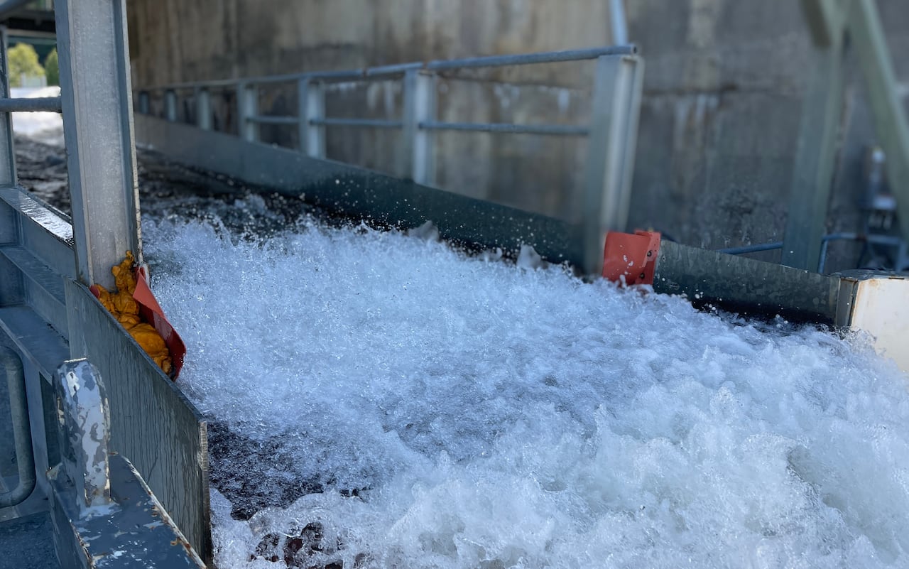 Water rushing through an opening in a concrete wall.