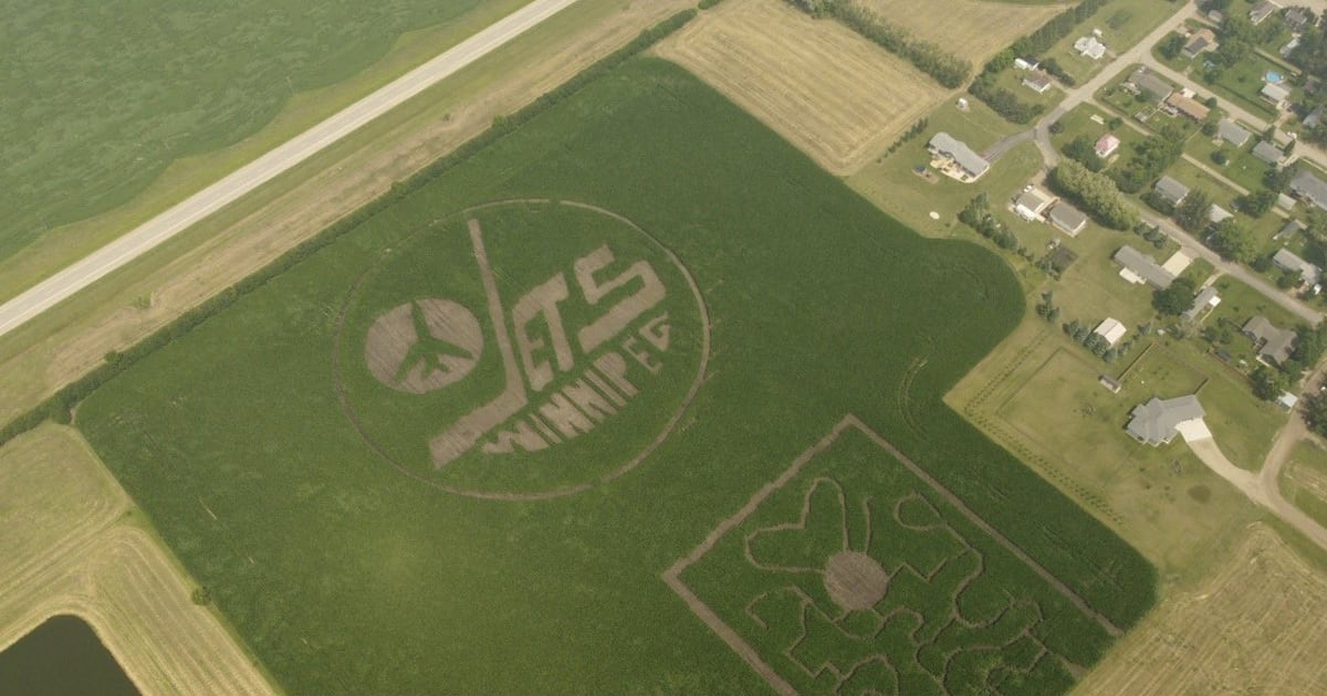 Winnipeg Jets logo corn maze grows in Manitoba