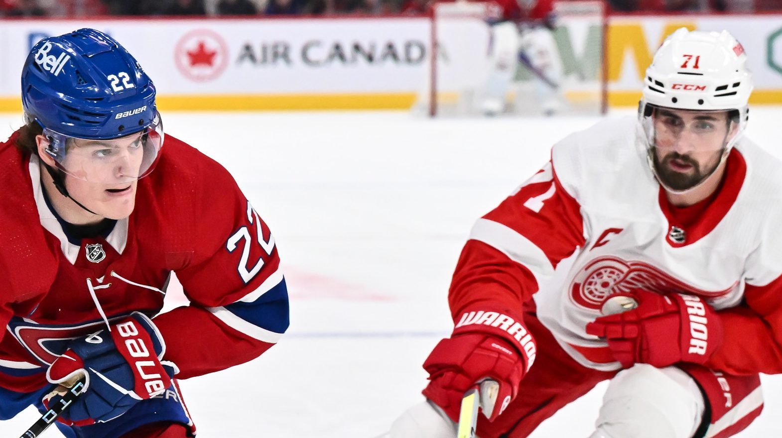 Dylan Larkin & Cole Caufield Sighting Leading to Wild Speculation