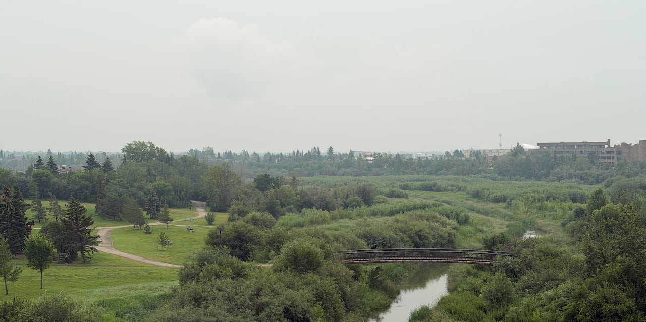 A somewhat hazy photo of a park in a city. Buildings can be seen in the distance.