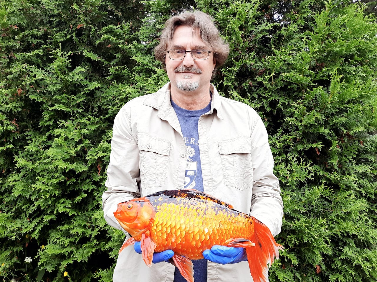 A man holds a goldfish.