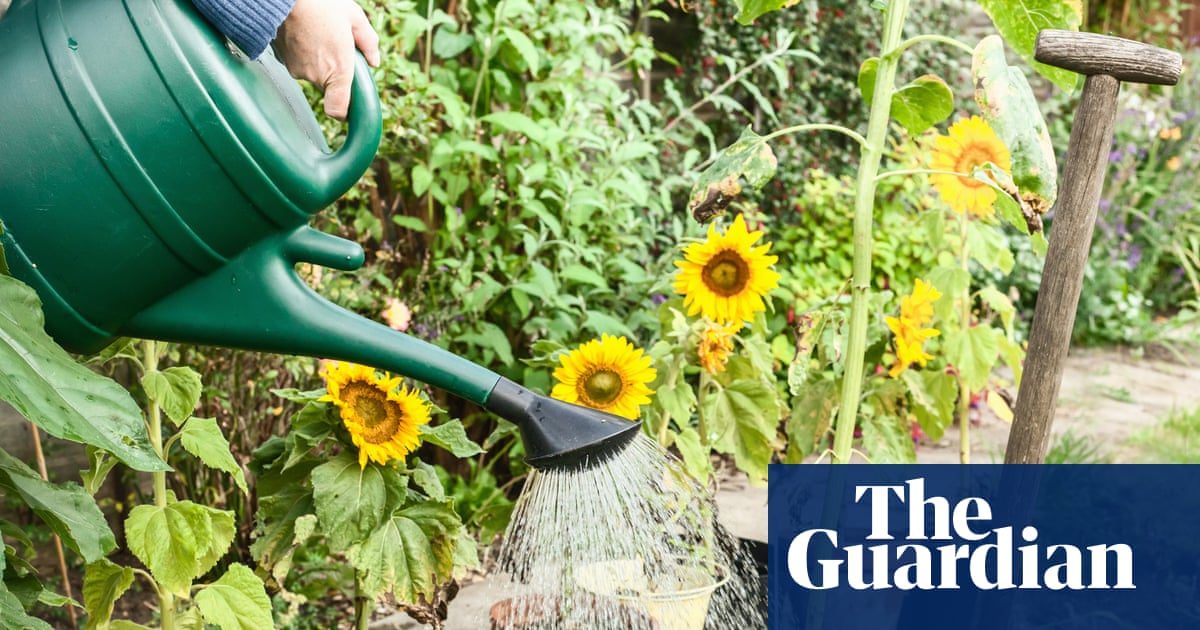 How can I water my garden in a hosepipe ban and will there be drought this summer? | Water