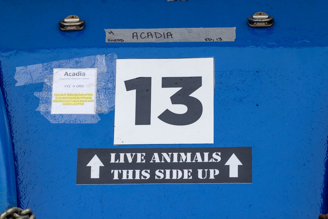 A sign says "13" and the sign below it, with illustrative arrows, says "LIVE ANIMALS THIS SIDE UP"