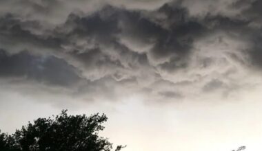 Severe thunderstorm warning continues for London region