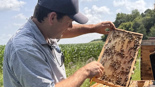 Manitoba business owners feeling the sting of U.S. tariff uncertainty