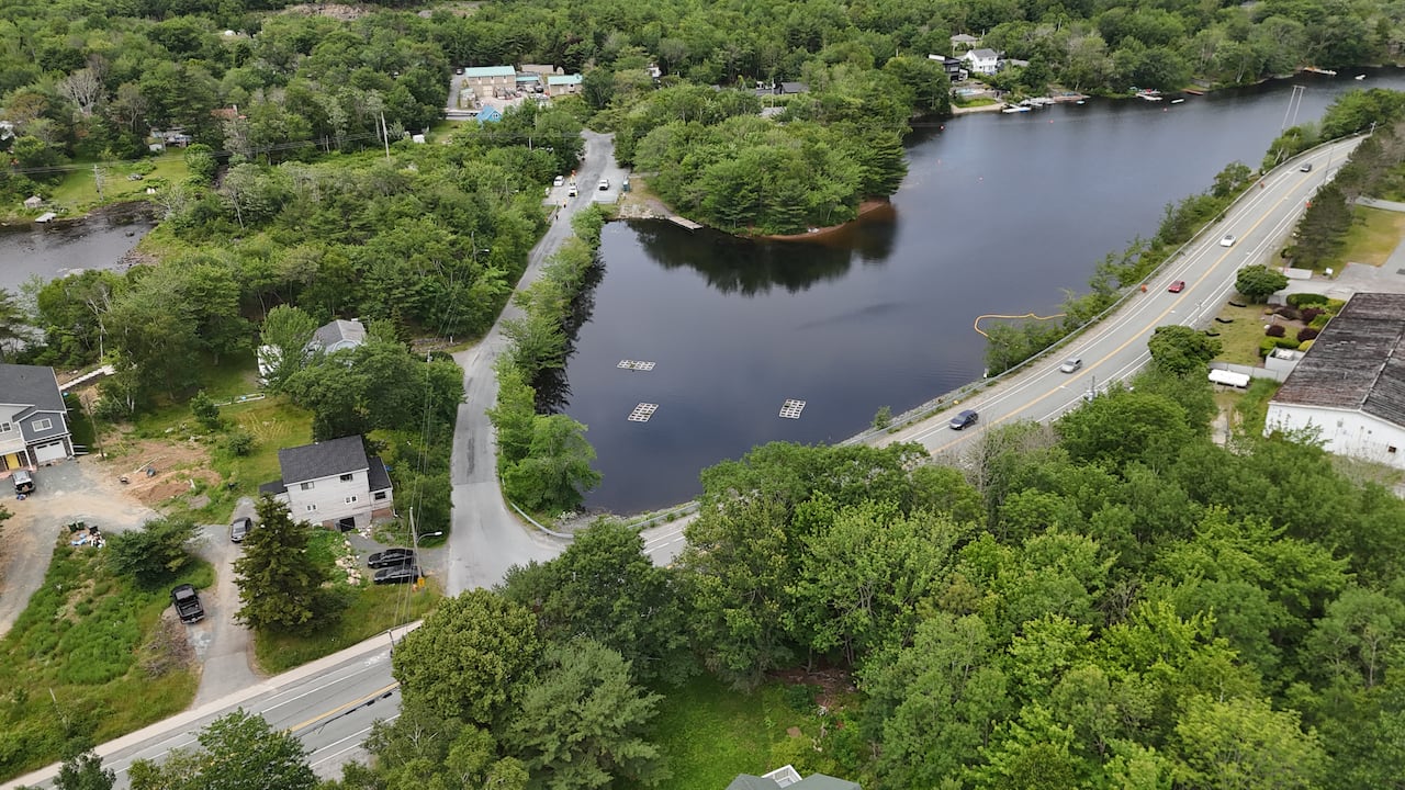 A body of water is surround by trees and homes with a road on the right.