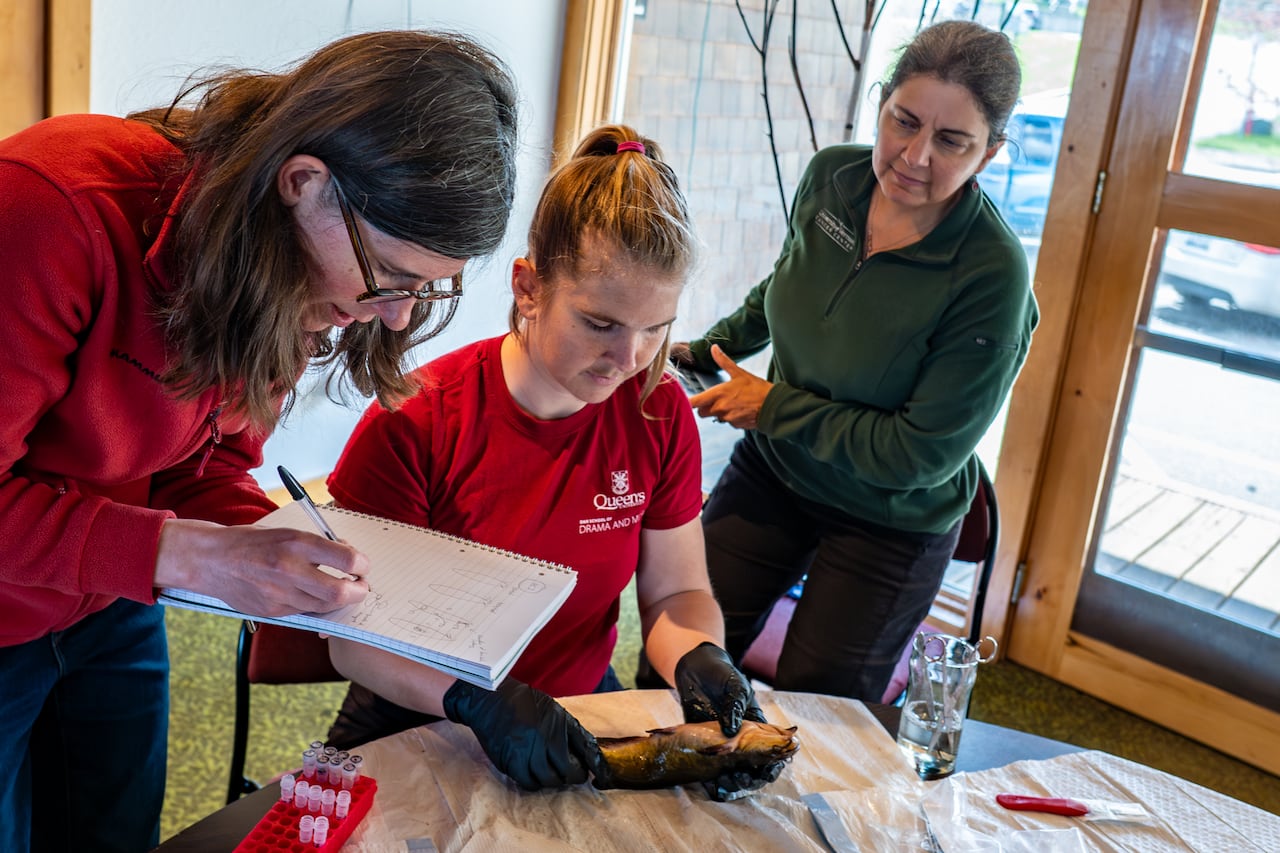 Three women in a room, one with gloves handling a fish on a table