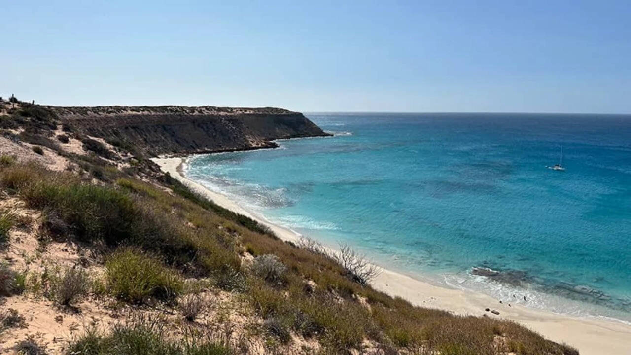 Feral cats erased 11 native species from this Australian island. Scientists are bringing back two truffle-eating marsupials to rebuild it |