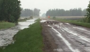 Northern Alberta county declares state of agricultural disaster, wants province to step in