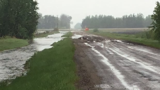 Northern Alberta county declares state of agricultural disaster, wants province to step in