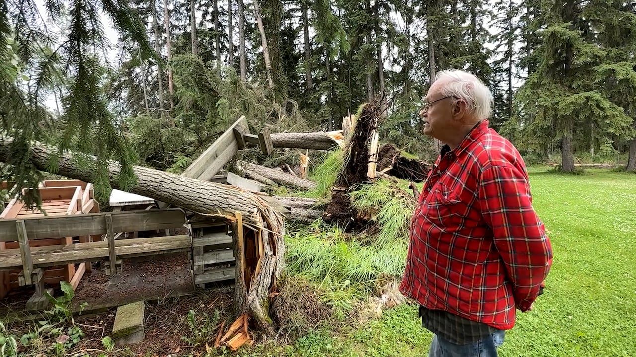 Man looking at torn-down trees and damaged patio furniture.