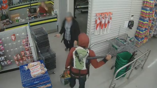 B.C. expands repeat property offender program, will monitor 365 people in Lower Mainland