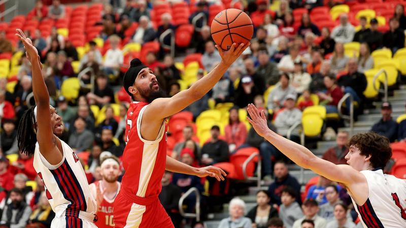 Dinos take on four NCAA programs in summer road swing