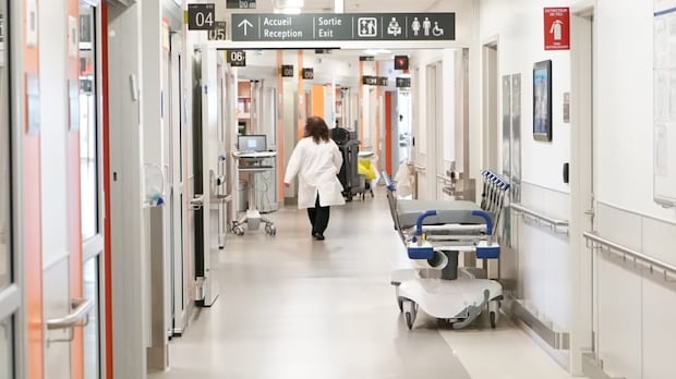 New Quadrangle reports find health care for N.L.'s 2SLGBTQIA+ community lacking
