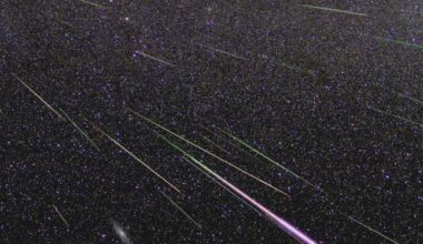 Total Solar Eclipse Sets Up Stunning Perseid Meteor Shower Peak