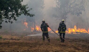 Tour de France final stage shortened to redeploy officers as 250,000 flee wildfires in France, Spain