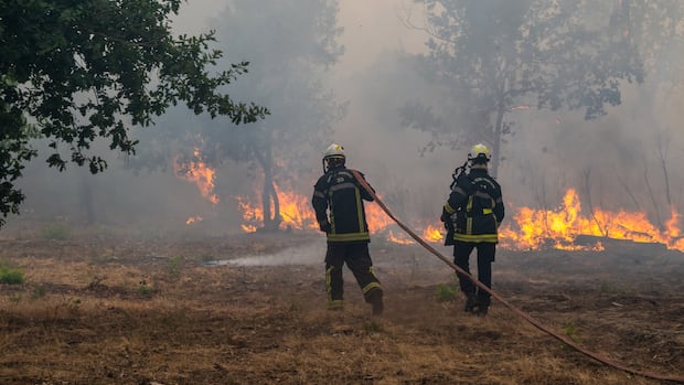 Tour de France final stage shortened to redeploy officers as 250,000 flee wildfires in France, Spain