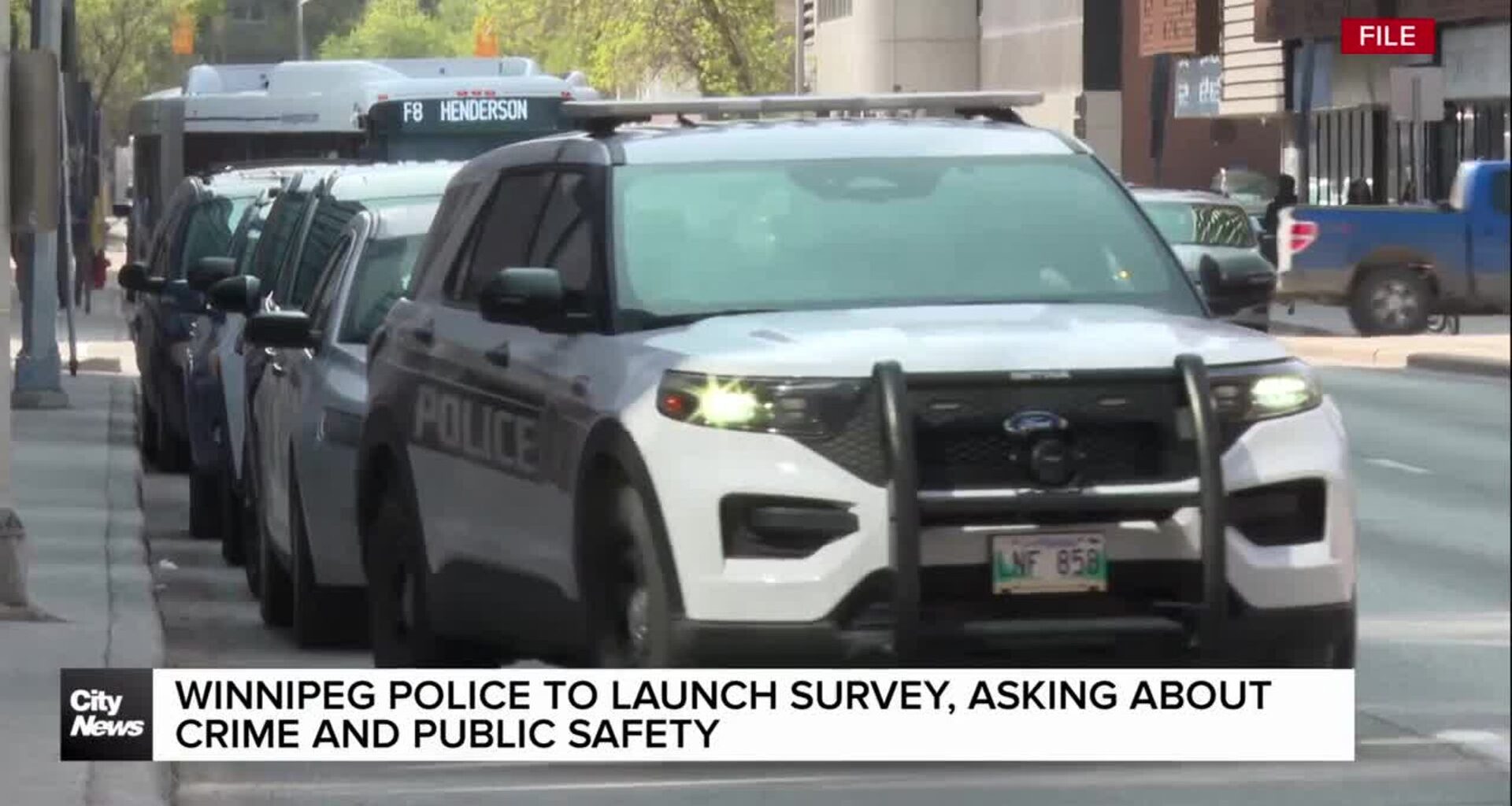 Winnipeg Police to launch survey, asking about crime and public safety