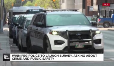 Winnipeg Police to launch survey, asking about crime and public safety