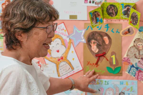 Kumi Ishizawa, a first-time visitor from Kobe, western Japan, displays a birthday message for Punch, a young Japanese macaque, at the Ichikawa City Zoological and Botanical Garden in Ichikawa, east of Tokyo, Thursday, July 23, 2026. (AP Photo/Eugene Hoshiko)