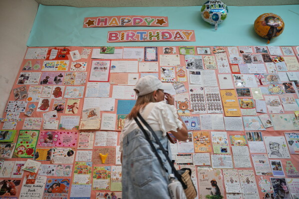 A visitor looks at birthday cards for Punch, a young Japanese macaque, displayed ahead of his first birthday at the Ichikawa City Zoological and Botanical Garden in Ichikawa, east of Tokyo, Thursday, July 23, 2026. (AP Photo/Eugene Hoshiko)