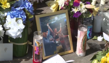 Cyclists gestured, yelled at driver before he reversed into them, killing boxer Hannah Rapp, court documents allege