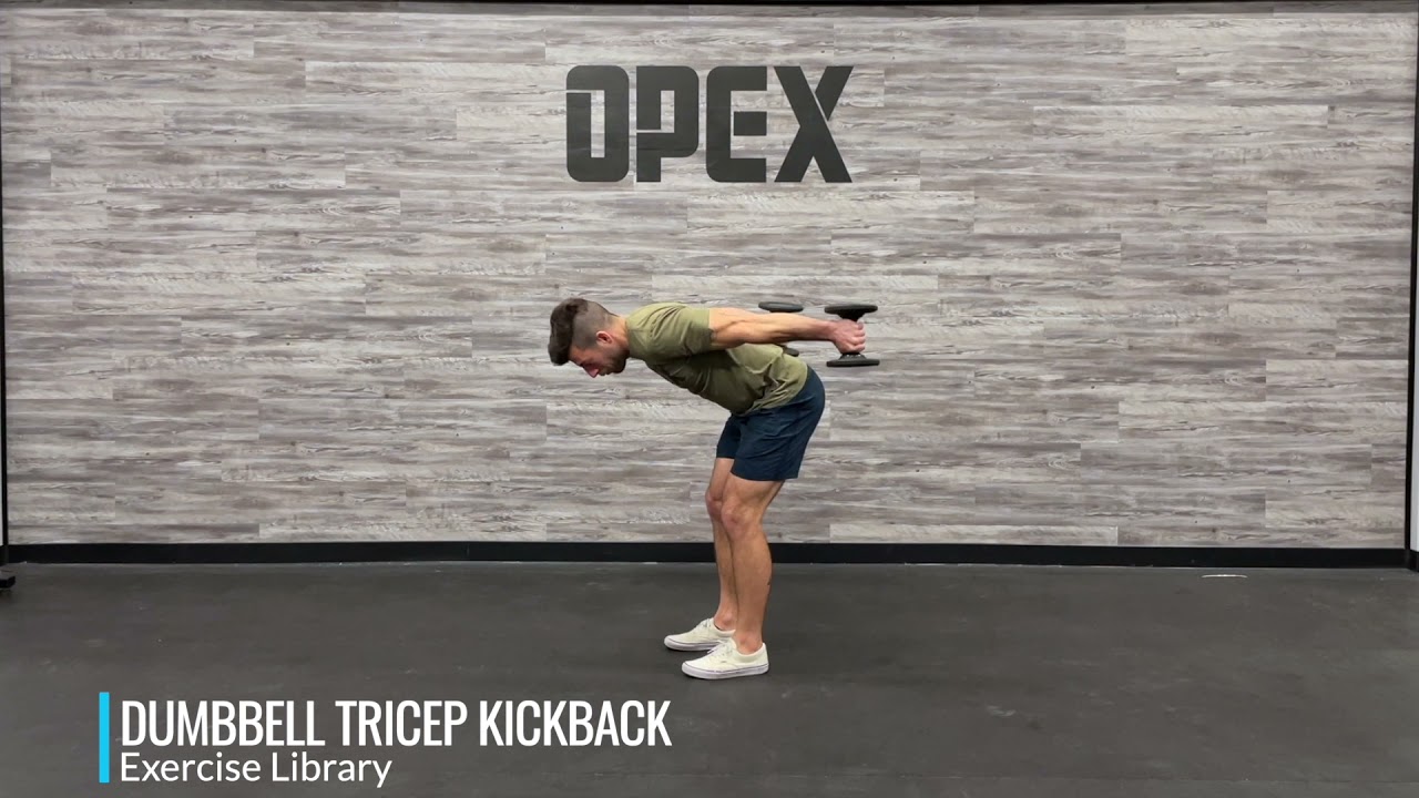 Dumbbell Tricep Kickback - YouTube