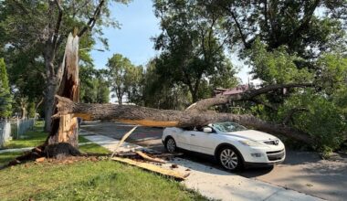 Some roads reopen in Edmonton after thunderstorm, heavy winds