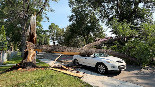 Some roads reopen in Edmonton after thunderstorm, heavy winds